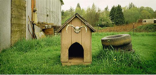 《Archaelund》Steam抢先体验 开放世界探索回合战斗